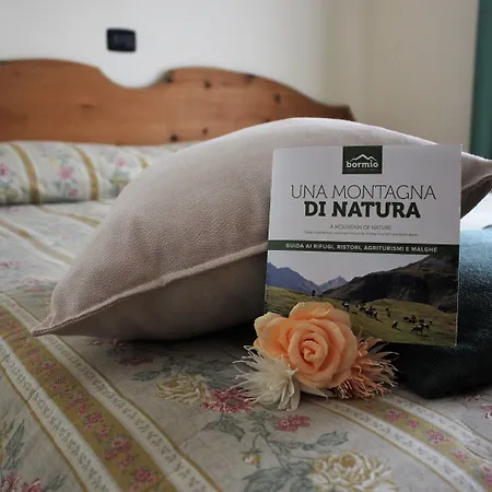 Otel Rina 3*