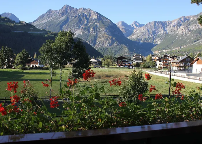 Готель Rina Борміо